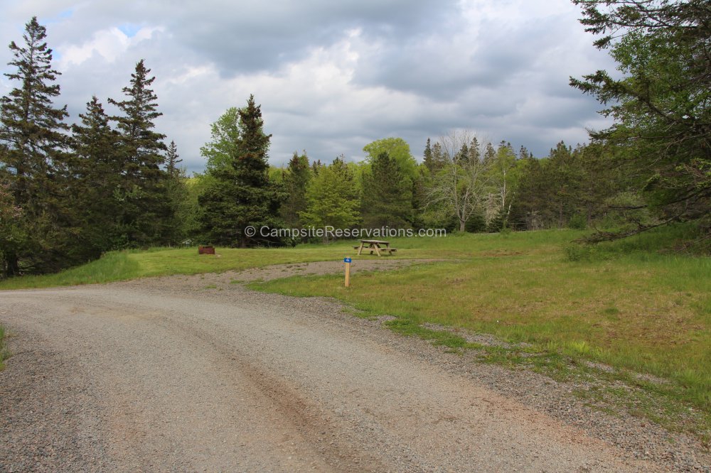 Photo of Campsite 46 in Five Islands Provincial Park Campground at Five